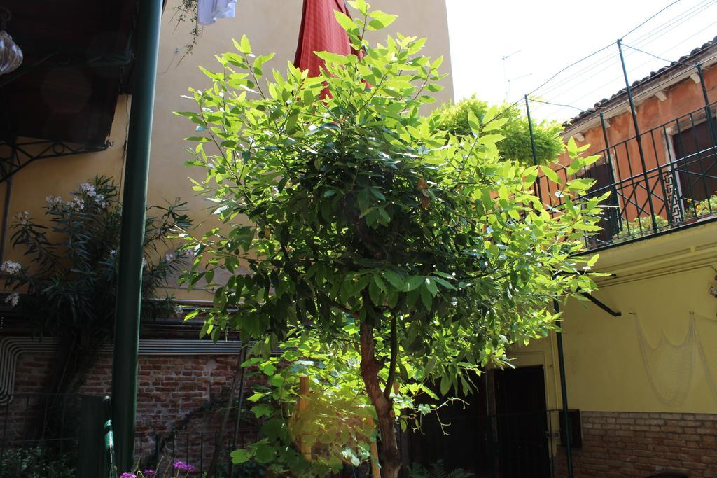 San Giacomo Apartment Venedig Rum bild